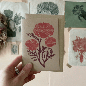 Valmue - gratulasjonskort | Rosanna Morris